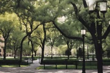 Romantic Spots Near Sacramento, CA